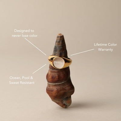 BRASIL | BAGUE EN NACRE – NOUVEAUTÉ !